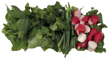 Shirzad Persisk Restaurant