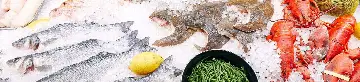 Odden Fisk