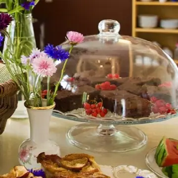 Stensbæk Skovcafé