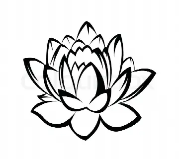 Buakow a thai take away