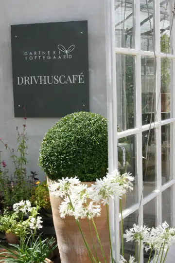 Toftegaards drivhuscafe