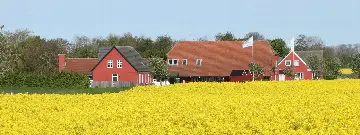 Rosengården