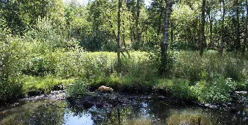 Nordisk Dyrepark