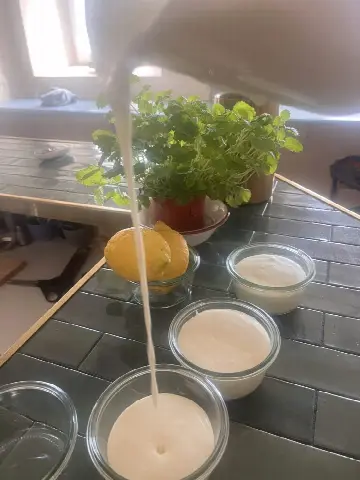 Restaurant Havnebryggen 5