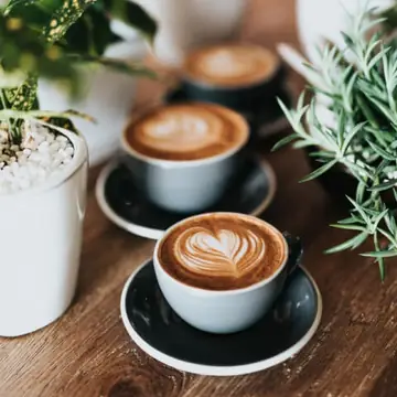 Cafe Tropic