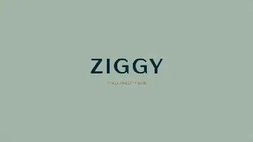 Ziggy Original