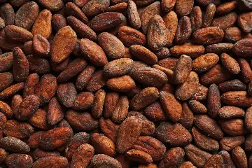 Pods of Beans