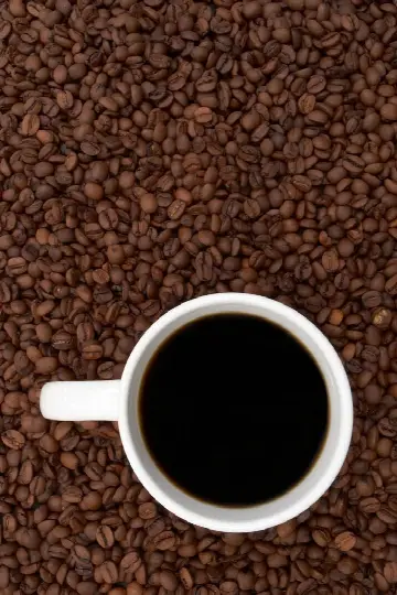 Café Trappetorvet