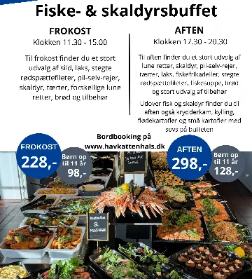 Havkatten