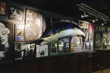 Sharks Minigolf