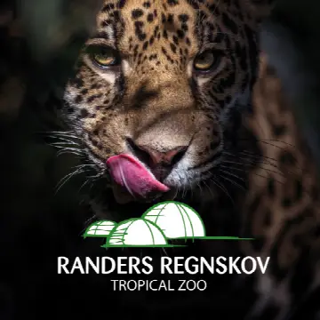 Regnskovscaféen