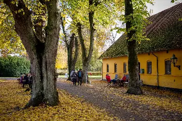 Cafe Åsen