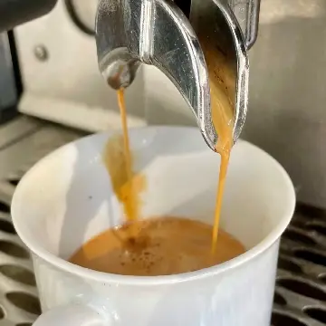 Café Sandart