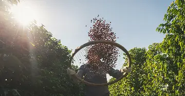 Copenhagen Coffee Lab