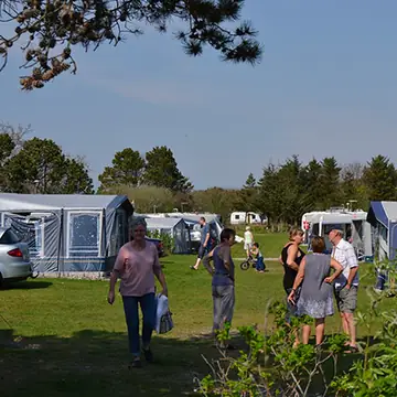 Krik Vig Camping cafeteria
