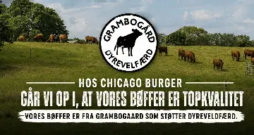 Chicago Burger Bolbro
