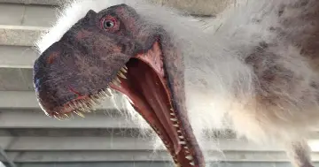 NaturBornholm Cafe Saurus