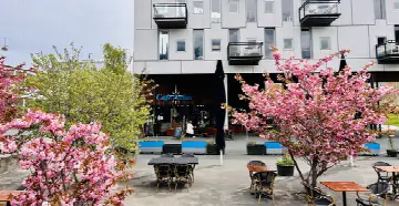 Emaljehavens Is-cafe