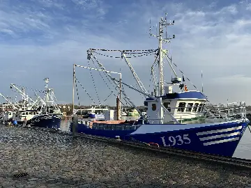 Steenbergs Brasserie