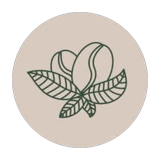 Café Sallys logo