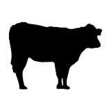 Vaca NV logo