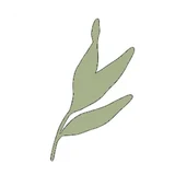 Restaurant Apoli logo