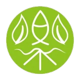Raku Sushi logo