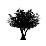 Smeralda Frederiksberg logo