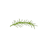 Naturkokkens Spisested logo
