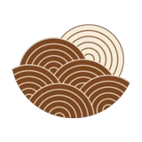Roku logo