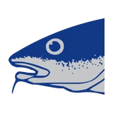 Bjarnes Fisk og Fisketeria logo
