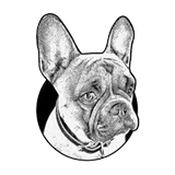 Café Valde logo