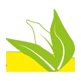 Curry Leaves logo