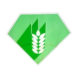 Diamond Rice logo