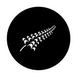 Wild Kiwi Pies logo