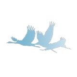 Restaurant Vigsø logo