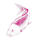 Hirtshals Fiskehus logo