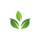 Wok Flame Thai logo