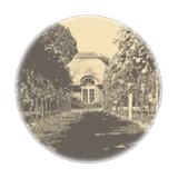 Skaarupøre Vingård logo