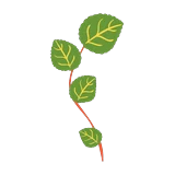 Oregano Huset logo