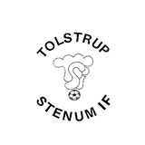 TSI-Stenum logo