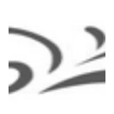 Ponte Vecchio logo
