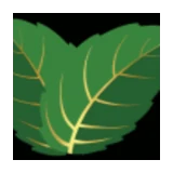 Mynte Thai Cuisine logo