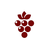Dragsholm Vine logo