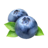 Ømosebær logo